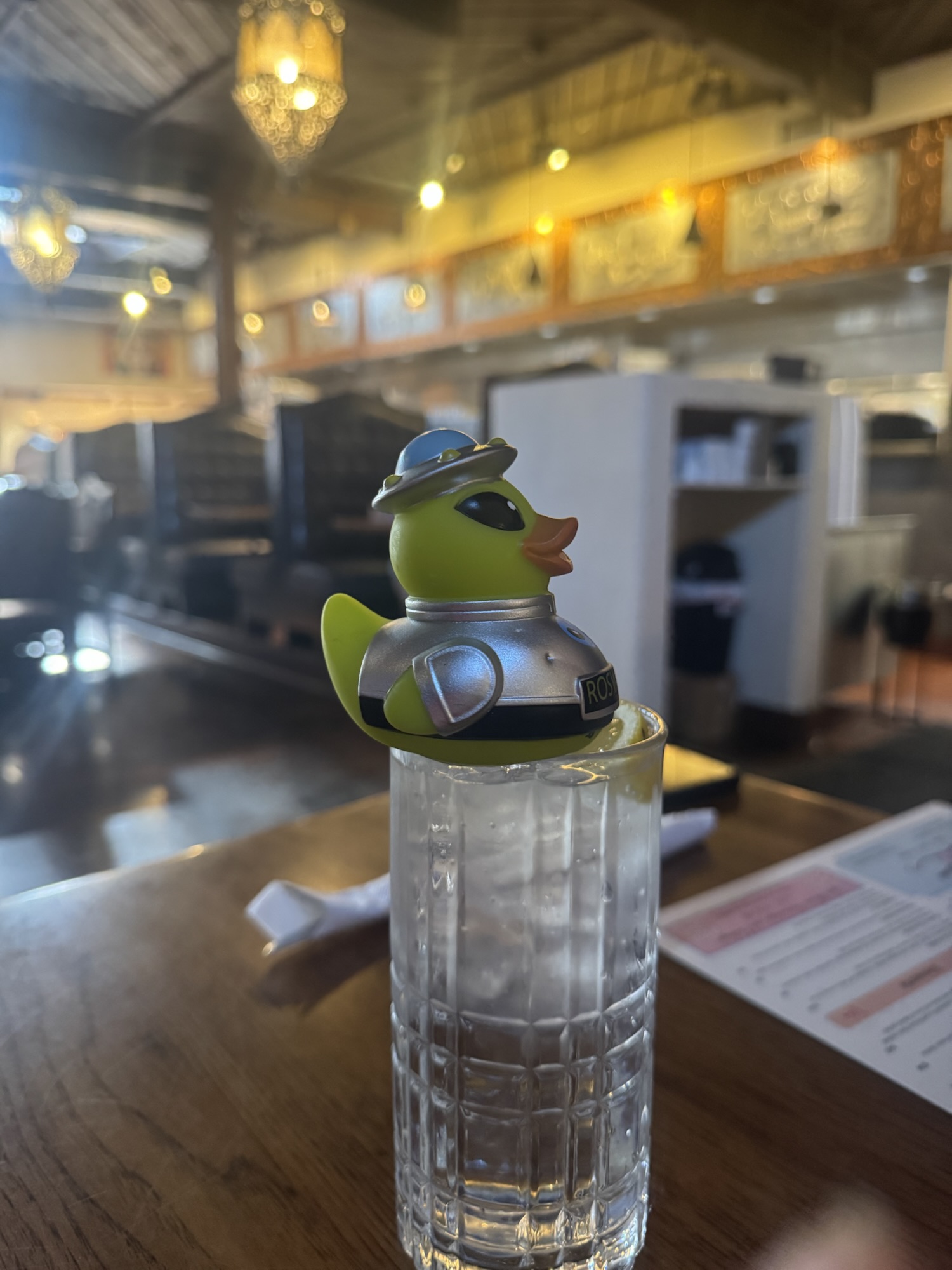 🦆🌎 One Duck. Endless Adventures.